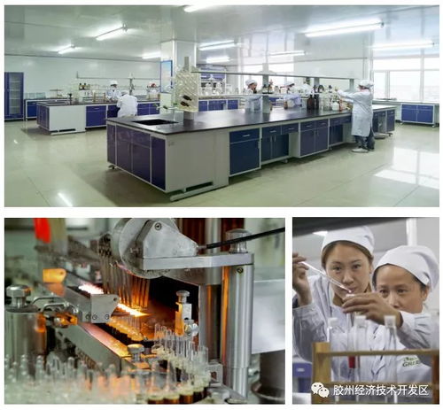 集中簽約，示范區(qū)明星企業(yè)精彩亮相——精心設(shè)計(jì)網(wǎng)站助力招商盛會(huì)