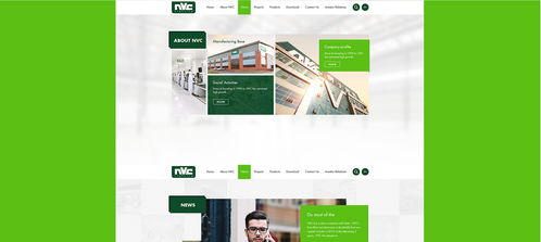 雷士光電官方網(wǎng)站建設(shè)項(xiàng)目 構(gòu)建專業(yè)數(shù)字門戶，照亮品牌未來